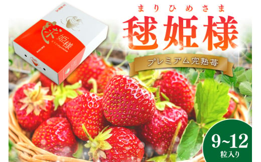 プレミアム完熟いちご 毬姫様（まりひめさま）9～12粒入り（1月土日祝）《先行予約》【配送不可地域：北海道・沖縄・離島】