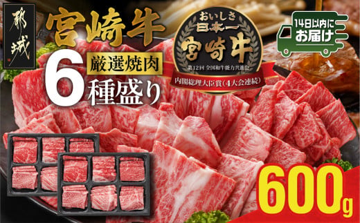 宮崎牛6種盛り焼肉食べ比べ600g≪みやこんじょ快速便≫_AC-N201-R_(都城市)