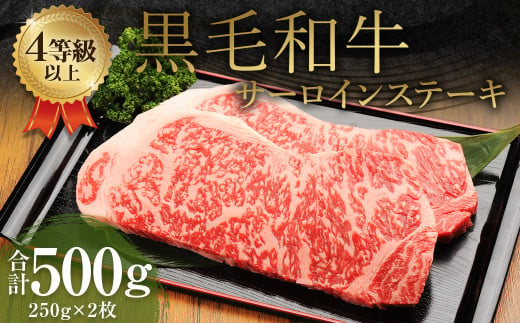 くまもと 黒毛和牛 サーロインステーキ 500g(250g×2枚)牛肉 牛 肉