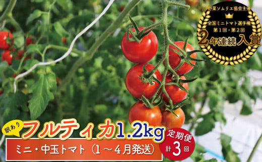 [1月〜4月頃発送][約1.2kg×3回 定期便]訳あり 規格外 フルティカ トマト ましまファーム ミニトマト フルーツトマト アイメック ワケあり [2025年1月以降発送]