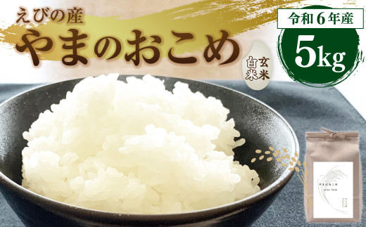 令和6年産】新米 えびの産 選べる ヒノヒカリ 米 やまのおこめ 5kg 白米 お米 国産 宮崎県 九州 ひのひかり 送料無料 おにぎり こめ コメ  - 宮崎県えびの市｜ふるさとチョイス - ふるさと納税サイト