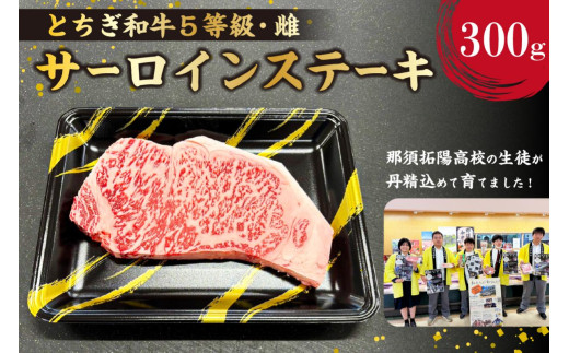 とちぎ和牛サーロインステーキ300g ns004-038 [肉 牛肉 和牛 黒毛和牛 ブランド牛 とちぎ和牛 霜降り肉]