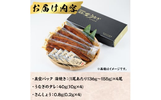 鹿児島県産うなぎ蒲焼 (1尾あたり136g～155g×4尾、タレ・山椒付き) 鰻 ウナギ うな重 ひつまぶし かばやき 九州産 国産 冷凍【西日本養鰻】A584  - 鹿児島県曽於市｜ふるさとチョイス - ふるさと納税サイト