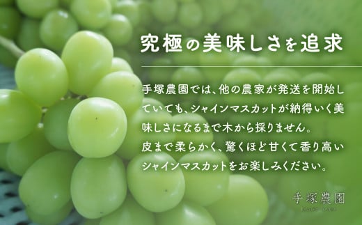 2025年分発送】 シャインマスカット 3～4房 約2kg 先行予約 先行 予約 山梨県産 産地直送 フルーツ 果物 くだもの ぶどう ブドウ 葡萄 シャイン  シャインマスカット 新鮮 人気 おすすめ 国産 贈答 ギフト お取り寄せ 朝どれ 甘い 皮ごと 種なし 山梨 甲斐市 AV-3 -