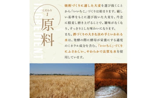 大分県宇佐市のふるさと納税 いいちこ パック 25度(計10.8L・1.8L×6本)酒 お酒 むぎ焼酎 1800ml 麦焼酎 いいちこ 常温 三和酒類 紙パック【104304400】【山添産業】