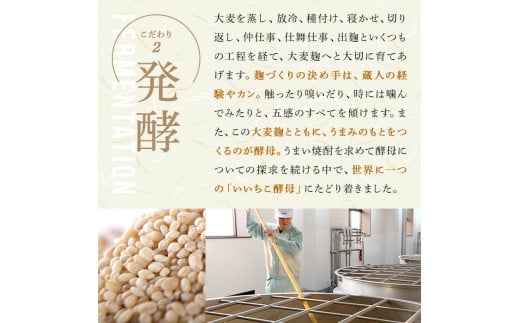 大分県宇佐市のふるさと納税 いいちこ パック 25度(計10.8L・1.8L×6本)酒 お酒 むぎ焼酎 1800ml 麦焼酎 いいちこ 常温 三和酒類 紙パック【104304400】【山添産業】