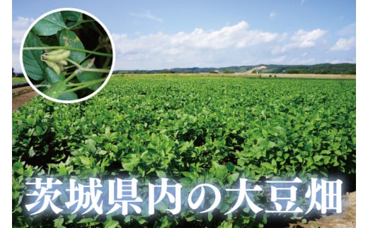 茨城県水戸市のふるさと納税 水戸　だるま納豆国産小粒３P（１２個入り）【なっとう 水戸 県産 こつぶ 3パック セット 大容量 36個 朝食 5000円以下 茨城県】（AS-2）