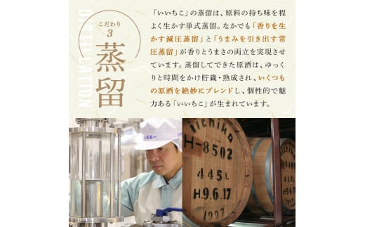 大分県宇佐市のふるさと納税 いいちこ パック 25度(計10.8L・1.8L×6本)酒 お酒 むぎ焼酎 1800ml 麦焼酎 いいちこ 常温 三和酒類 紙パック【104304400】【山添産業】