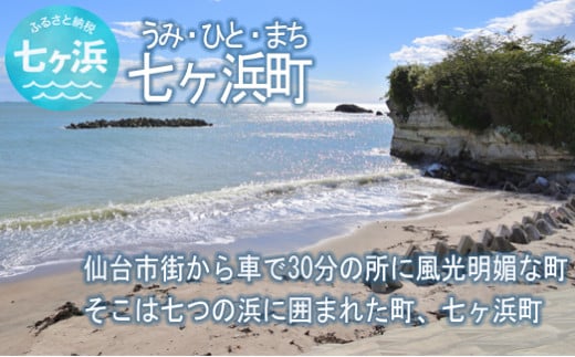 宮城県七ヶ浜町のふるさと納税 焼き海苔 《金》 20枚 （全形10枚×2袋） 一番摘み みちのく寒流のり 七ヶ浜産 ｜ 焼海苔 のり ノリ プレミアム 高級 贈答 特選 ギフト おにぎり 寿司 小分け 焼海苔 宮城県 七ヶ浜町 ｜ jf-nrkn20