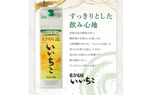 大分県宇佐市のふるさと納税 いいちこ パック 25度(計10.8L・1.8L×6本)酒 お酒 むぎ焼酎 1800ml 麦焼酎 いいちこ 常温 三和酒類 紙パック【104304400】【山添産業】