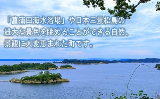 宮城県七ヶ浜町のふるさと納税 焼き海苔 《金》 20枚 （全形10枚×2袋） 一番摘み みちのく寒流のり 七ヶ浜産 ｜ 焼海苔 のり ノリ プレミアム 高級 贈答 特選 ギフト おにぎり 寿司 小分け 焼海苔 宮城県 七ヶ浜町 ｜ jf-nrkn20