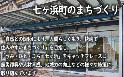 宮城県七ヶ浜町のふるさと納税 焼き海苔 《金》 20枚 （全形10枚×2袋） 一番摘み みちのく寒流のり 七ヶ浜産 ｜ 焼海苔 のり ノリ プレミアム 高級 贈答 特選 ギフト おにぎり 寿司 小分け 焼海苔 宮城県 七ヶ浜町 ｜ jf-nrkn20