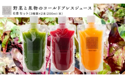 野菜と果物の コールドプレスジュース 200ml × 6本セット 酵素ドリンク デトックス 免疫 ライフスタイル 健康 美容 無添加  野菜 果物 新鮮 有機 無農薬 減農薬 特別栽培 SDGs ジュース 冷凍 解毒 胃腸 やさしい ターンオーバー 代謝 老廃物 新陳代謝