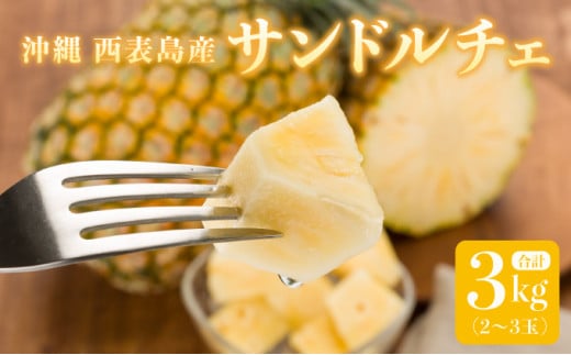2025年 先行予約 セット パイン 熟鮮サンドルチェ(R) 3kg(2～3玉) 沖縄 西表島産 レア品種 沖縄 西表島産 果物 フルーツ