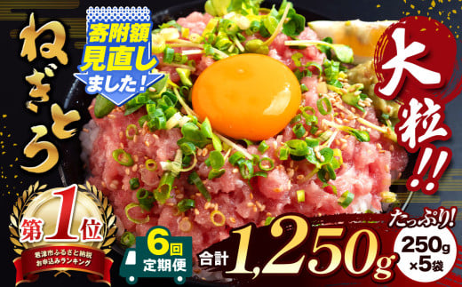 【定期便・6ヶ月】清幸丸水産 大人気！ねぎとろ（250g×5袋）1250g | ネギトロ とろ 鮪 海鮮 魚介 魚 人気 小分け 人気 定番 ご飯 オススメ 千葉県 君津市 きみつ 675519 - 千葉県君津市