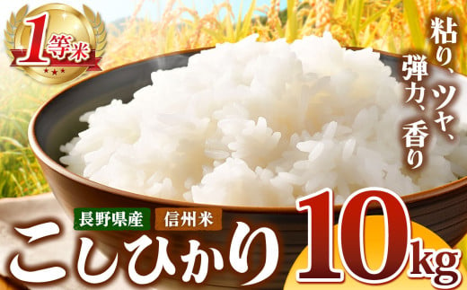 信州米 こしひかり 白米 10kg 長野県産 | 米 コシヒカリ 白米 精米 お米 信州米 10kg 特産品 塩尻市 長野県 信州  1541280 - 長野県塩尻市