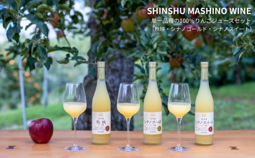 MW14-24E 信州産 林檎ジュース3種セット （秋映/シナノスイート/シナノゴールド 500ml×3本）// 長野県 南信州 りんご リンゴ ストレートジュース  656580 - 長野県松川町