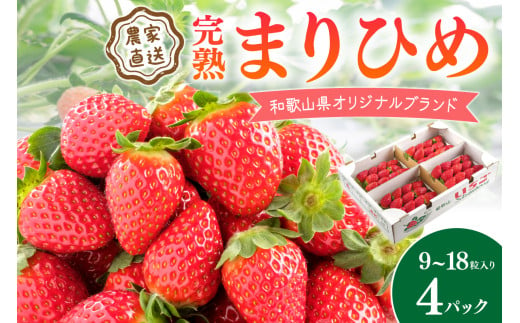 完熟まりひめ（和歌山県オリジナルブランドいちご）9～18粒入×4パック（4月土日祝）【配送不可地域 北海道 沖縄 離島】 期間限定 苺 イチゴ ケーキ デザート おやつ 果物 フルーツ オリジナルブランド 新鮮 柔らかい 甘い 糖度 旨味 食べ応え抜群