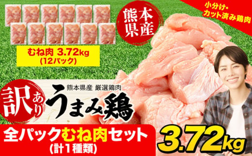 鶏肉 うまみ鶏 全パックむね肉セット(計1種類) 合計3.72kg 冷凍 小分け 《1-5営業日以内に出荷予定(土日祝除く)》 肉 若どり  むね ムネ 個包装 熊本県産 鶏肉 鶏ムネ ムネ肉 ムネ肉 冷凍 冷凍鶏肉 冷凍ムネ肉 国産 国産鶏肉 国産ムネ肉 九州産 九州産鶏肉  811595 - 熊本県津奈木町