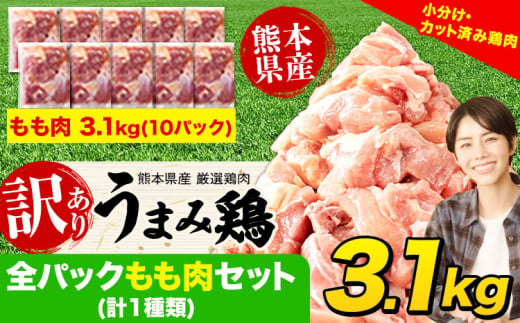 鶏肉 うまみ鶏 全パックもも肉セット(計1種類) 合計3.1kg 冷凍 小分け 《1-5営業日以内に出荷予定(土日祝除く)》 肉 若どり もも モモ 個包装 熊本県産 鶏肉 モモ肉 鶏モモ モモ肉 冷凍 冷凍鶏肉 冷凍モモ肉 国産 国産鶏肉 国産モモ肉 九州産 九州産鶏肉  811594 - 熊本県津奈木町