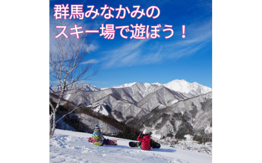 みなかみ町内スキー場 ふるさと納税共通1日リフト券（引換券）１枚 1176820 - 群馬県みなかみ町