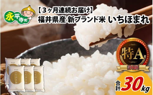 【3ヶ月連続お届け】令和6年度産 福井県産新ブランド米 いちほまれ 10kg（5kg×2袋）×3ヶ月（計30kg） [F-002003] 856246 - 福井県永平寺町