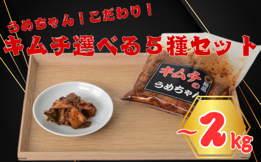 キムチ選べる5種類セット キムチのうめちゃん 奈良県 奈良市 なら 11-009 1539749 - 奈良県奈良市