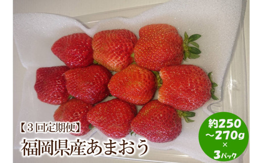 【2025年先行予約】【3回定期便】福岡県産あまおう約250-270g×3パック【044-0055】 965443 - 福岡県中間市