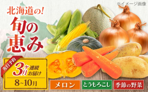 【全3回定期便】【8～10月限定】【ニセコ町産】旬の恵み 3品目 《喜茂別町》【ニセコビュープラザ直売会協同組合】 メロン とうもろこし じゃがいも かぼちゃ 夏野菜 秋野菜 季節の野菜 先行予約 北海道 [AJAH003] 38000 38000円 1197736 - 北海道喜茂別町