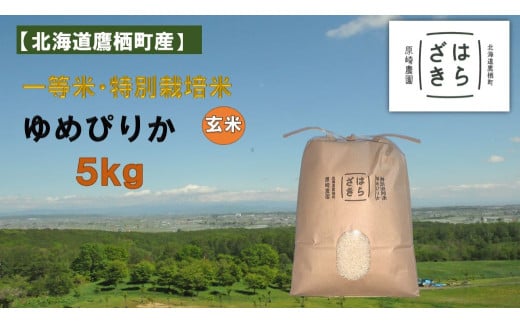 A270【令和６年産】一等米・特別栽培米 ５kg【ゆめぴりか玄米】５kg×１（農薬７割減）北海道 鷹栖町 原崎農園  1541768 - 北海道鷹栖町