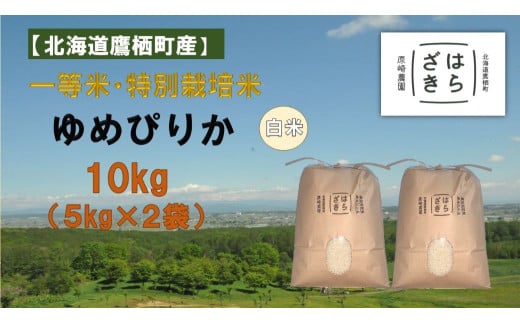 A273【令和６年産】一等米・特別栽培米 10kg【ゆめぴりか白米】５kg×２袋（農薬７割減）北海道 鷹栖町 原崎農園  1541771 - 北海道鷹栖町