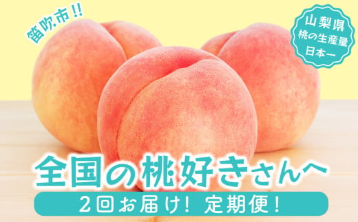 ＜25年発送先行予約＞【山梨県産 旬の桃 定期便 2回送り】計4kg以上 2kg以上(5～8玉)×2 ★ 180-007 1126776 - 山梨県笛吹市