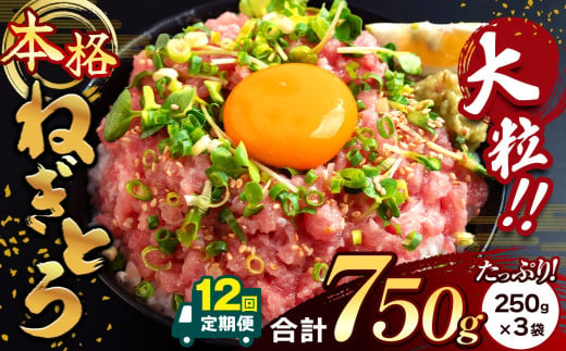  【 12回 定期便 】 大人気！ねぎとろ（ 250g × 3袋 ）合計 750g  清幸丸水産 | ネギトロ とろ 鮪 海鮮 魚介 魚 人気 小分け 人気 定番 ご飯 オススメ | 千葉県 君津市  1110840 - 千葉県君津市