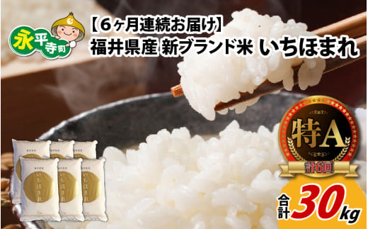 【6ヶ月連続お届け】令和6年度産 福井県産新ブランド米 いちほまれ 5kg×6ヶ月（計30kg） [F-002004] 856249 - 福井県永平寺町