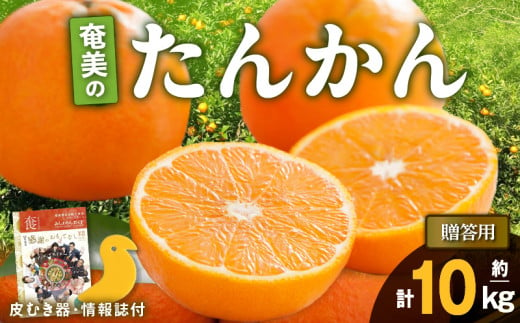 【2025年先行予約】奄美のたんかん贈答用10kg（皮むき器・情報誌付）　A052-023-02 571718 - 鹿児島県奄美市