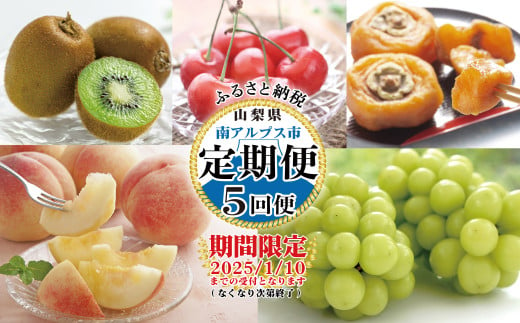 【2025年発送先行予約】山梨県産 定期便5回送り　南アルプスの果物セット ALPAI038 285552 - 山梨県南アルプス市