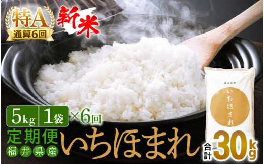 【新米】定期便 ≪6ヶ月連続お届け≫ いちほまれ 5kg × 6回（計30kg）特A通算6回！令和6年 福井県産【お米 コメ kome 計30キロ 精米 白米】 [e27-f005] 277683 - 福井県越前町