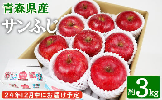 12月中にお届け！青森県産 サンふじ 3kg りんご 年内配送 家庭用 贈答用 422536 - 青森県八戸市