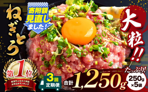 【定期便・3ヶ月】清幸丸水産 大人気！ねぎとろ（250g×5袋）1250g | ネギトロ とろ 鮪 海鮮 魚介 魚 人気 小分け 人気 定番 ご飯 オススメ 千葉県 君津市 きみつ 555536 - 千葉県君津市