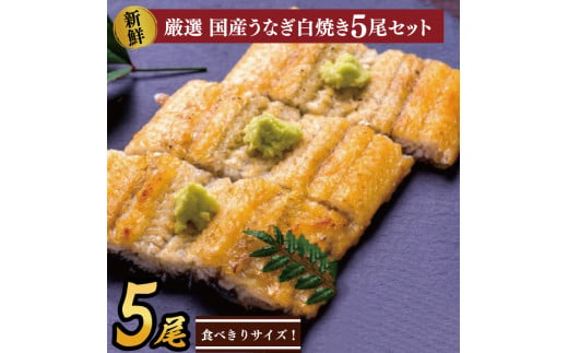 食べきりサイズ！国内産うなぎの白焼（酒蒸し）5尾　計575g以上(AD-71-2) 308999 - 茨城県行方市