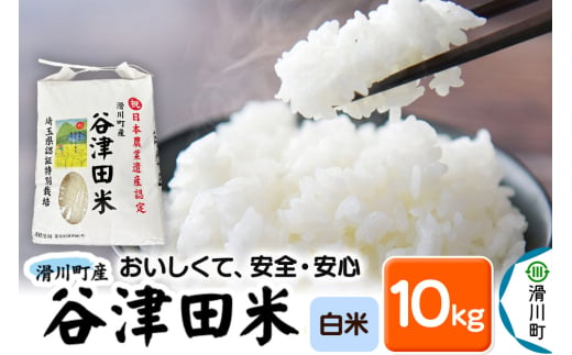 【白米】埼玉県滑川産のお米「谷津田米」10kg 令和6年産 埼玉県認証特別栽培