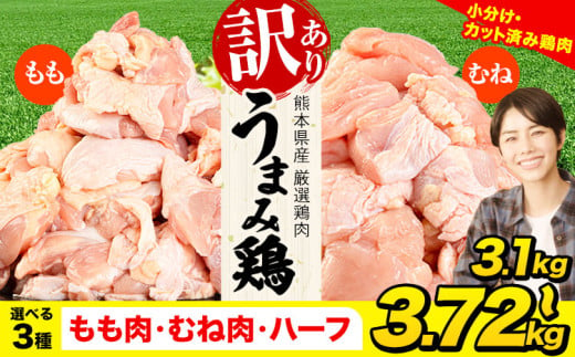 鶏肉 選べる もも肉 or むね肉 うまみ鶏 大容量 小分け 鶏もも肉 鶏むね肉 肉 若どり もも モモ むね ムネ 個包装 熊本県産 [1-5営業日以内に出荷予定(土日祝除く)]鶏肉 モモ肉 鶏モモ 鶏ムネ ムネ肉 鶏肉 モモ肉 訳ありムネ肉 冷凍 冷凍鶏肉 冷凍モモ肉 冷凍ムネ肉 国産 国産鶏肉 国産モモ肉 国産ムネ肉 九州産 九州産鶏肉