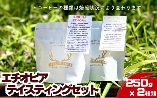 エチオピア テイスティングセット 250g × 2種類 ドリンク コーヒー スペシャルティコーヒー 中挽き [№5619-7933]1892 1543510 - 東京都墨田区