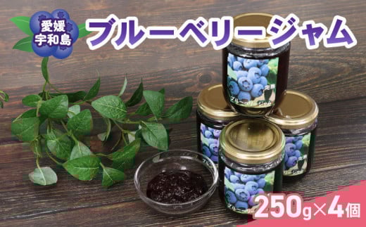 ブルーベリー ジャム 自家製  250g ×4個 計1kg 夢萬開 ブルーベリージャム berry 手作り 瓶 果物 くだもの フルーツ デザート ポリフェノール パン 朝食 ヨーグルト アイス お菓子 おすすめ アレンジ 農家直送 産地直送 数量限定 国産 愛媛 宇和島 J015-105002 2072093 - 愛媛県宇和島市