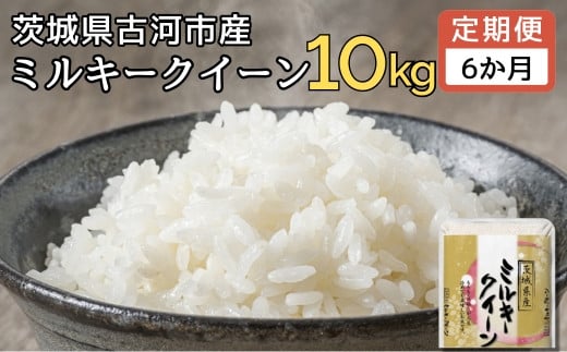 【定期便 6か月】【新米】 令和6年産 古河市産ミルキークイーン 10kg(5kg×2袋) | 米 こめ コメ みるきーくいーん 単一米 国産 産地直送 茨城県 古河市 _DP94