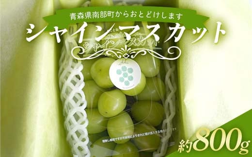 農林水産大臣賞受賞 シャインマスカット 約800g 【沼畑総合ファーム】 フルーツ 大粒 ぶどう 葡萄 ブドウ 果物 人気 種なし 新鮮 高級 ギフト 贈答 くだもの 期間限定 青森県 南部町 F21U-510