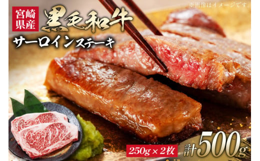 牛肉 黒毛和牛 宮崎産 サーロインステーキ(250g×2枚) 計500g [ウィズ・クリエイティブ 宮崎県 日向市 452060801] 和牛 肉 ステーキ サーロイン 冷凍 真空パック 277155 - 宮崎県日向市