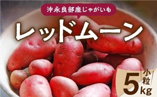 【2025年先行予約】沖永良部産じゃがいも『レッドムーン』小粒サイズ5kg　C065-002-01 1341597 - 鹿児島県知名町