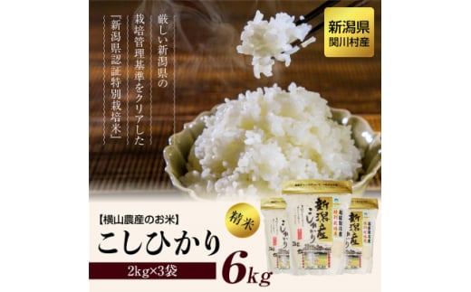 ＜毎月定期便＞横山農産のお米 こしひかり精米6kg 全6回【4058812】 1544795 - 新潟県関川村