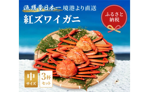 【蟹セレブ】ズワイガニ（紅ズワイガニ）中3杯セット（400～500g×3） 冷蔵 カニ ボイル 紅ズワイガニ 新鮮 ズワイガニ ずわいがに 期間限定 国産 鳥取県 倉吉市